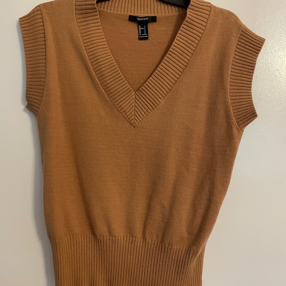 Cute brown teddy bear sweater vest